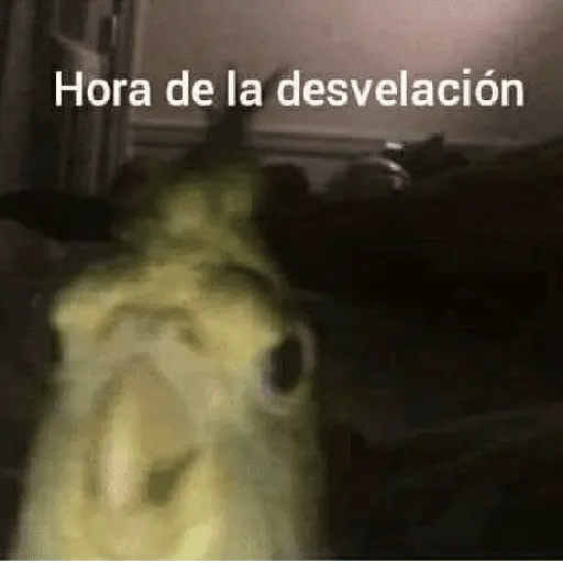 A mimir ✨