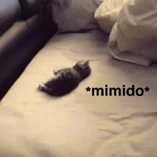 A mimir ✨