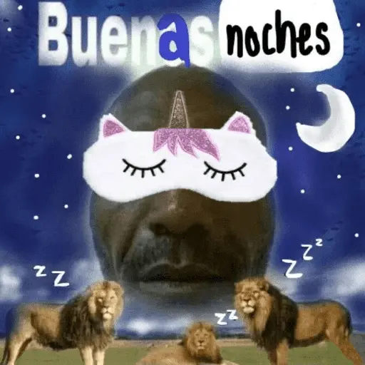 A mimir ✨