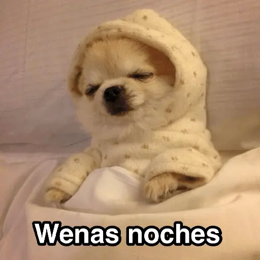 A mimir ✨