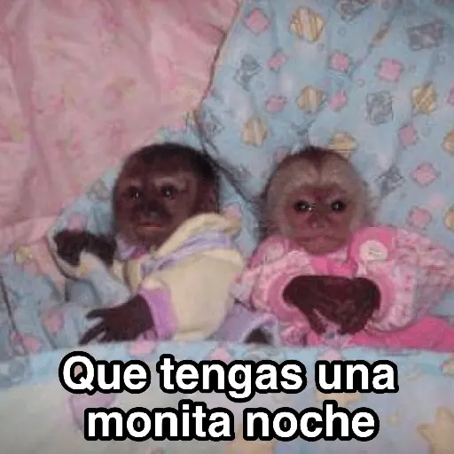 A mimir ✨