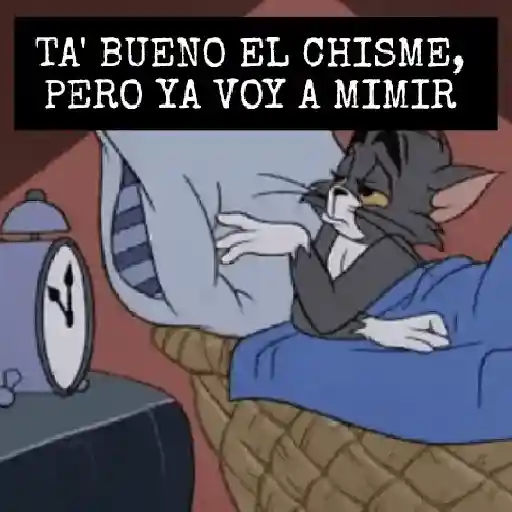 (っ˕ -｡)ᶻ 𝗓 𐰁 A MIMIR!