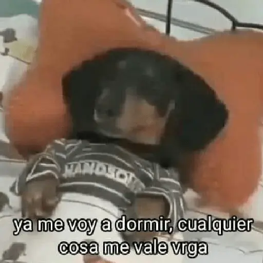 Mimir Time💤🛌🏻✨