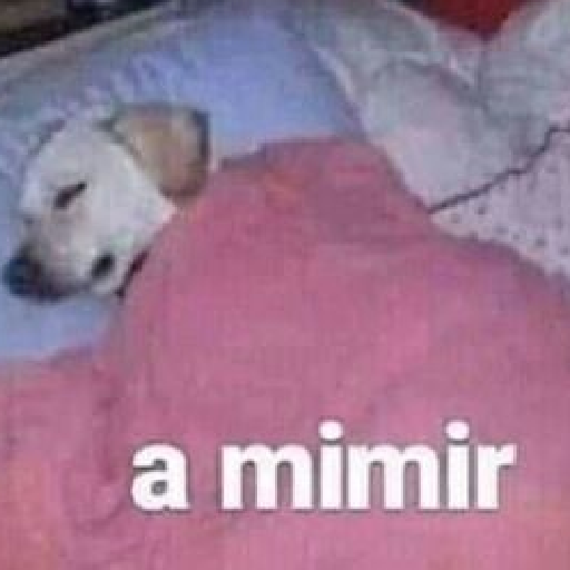 Mimir Time💤🛌🏻✨ preview