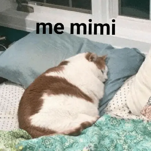 Mimir Time💤🛌🏻✨