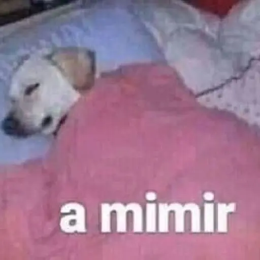 Mimir Time💤🛌🏻✨