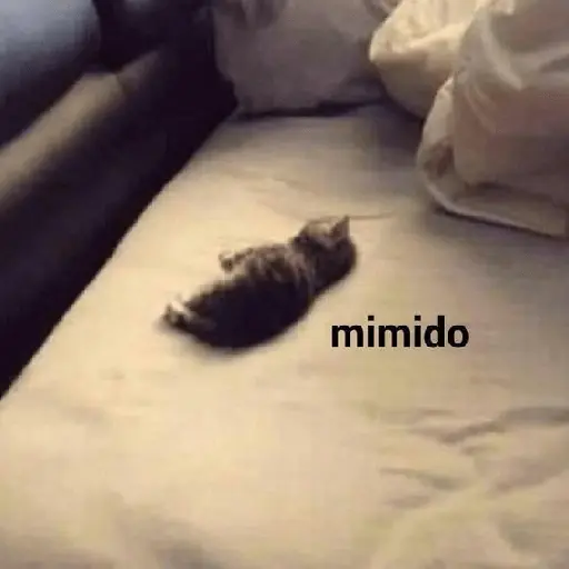 Mimir Time💤🛌🏻✨