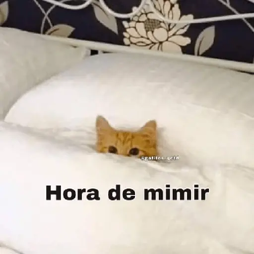 Mimir Time💤🛌🏻✨