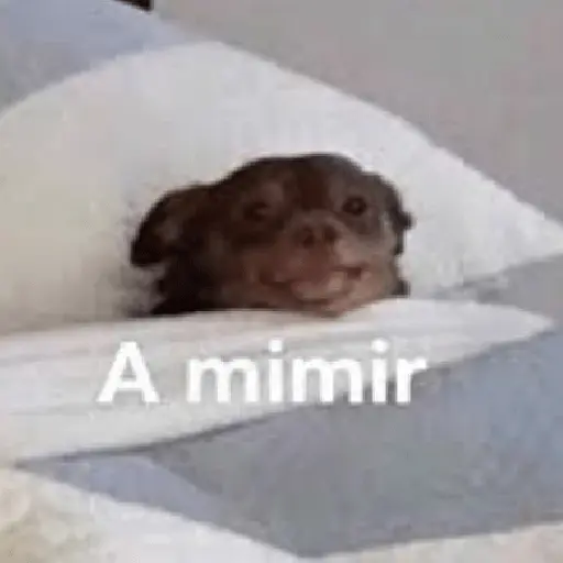 Mimir Time💤🛌🏻✨