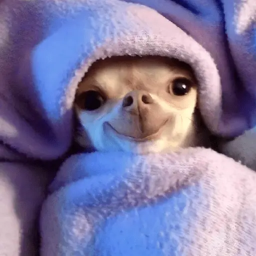 ✨⏰😴 A MIMIR 😴⏰✨
