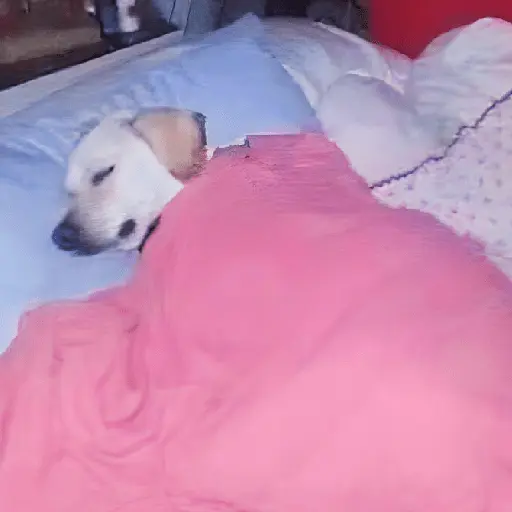 ✨⏰😴 A MIMIR 😴⏰✨