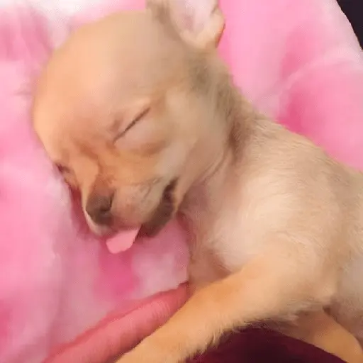 ✨⏰😴 A MIMIR 😴⏰✨