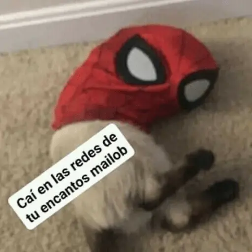🤣MEMESITOS PAL GRUPO SO🤣