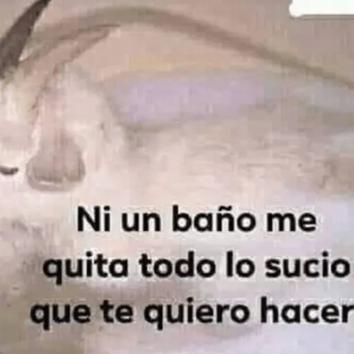 🤣MEMESITOS PAL GRUPO SO🤣
