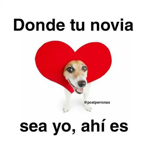 🤣MEMESITOS PAL GRUPO SO🤣
