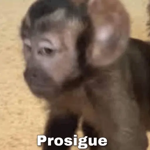 🤣MEMESITOS PAL GRUPO SO🤣