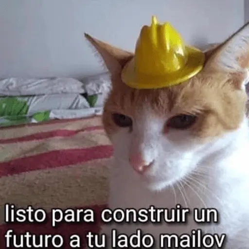 🤣MEMESITOS PAL GRUPO SO🤣