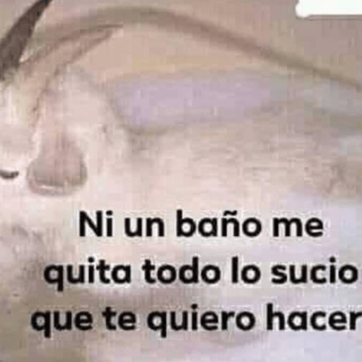 🤣MEMESITOS PAL GRUPO SO🤣 preview