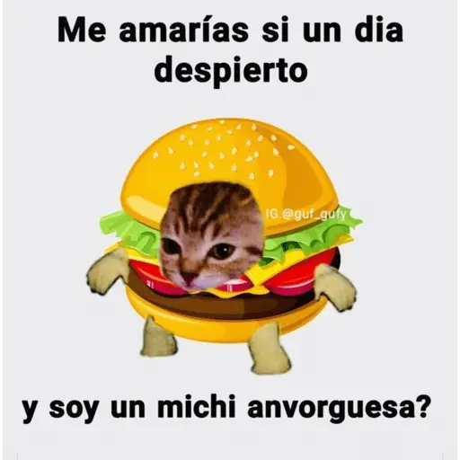 🤣MEMESITOS PAL GRUPO SO🤣