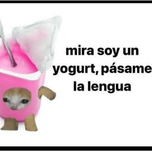 🤣MEMESITOS PAL GRUPO SO🤣 preview