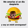 🤣MEMESITOS PAL GRUPO SO🤣