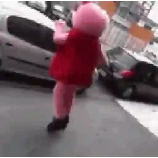 🐽 Peppa pig 🐷