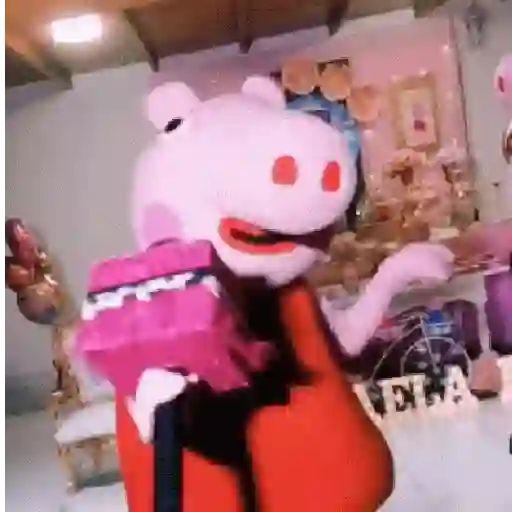 🐽 Peppa pig 🐷