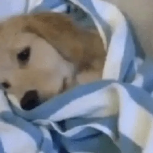 A MIMIR