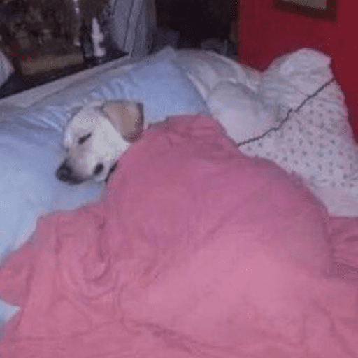 A MIMIR preview