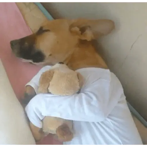 A MIMIR