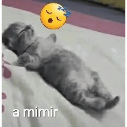 A MIMIR