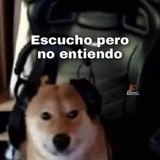 Stickers pal grupo 📱😎