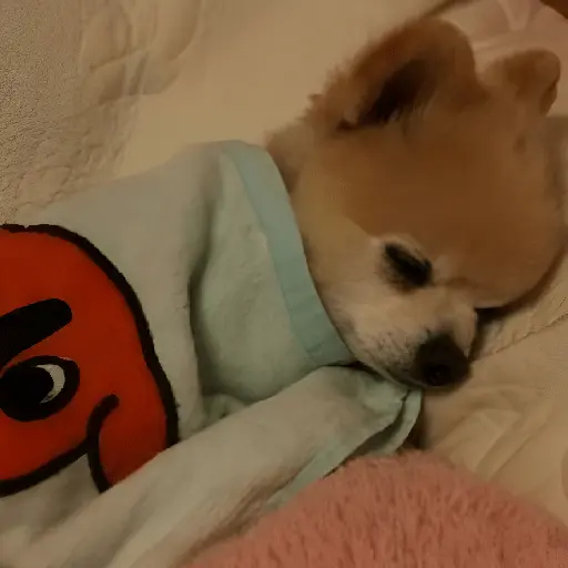 ✨⏰😴 A MIMIR 2 😴⏰✨