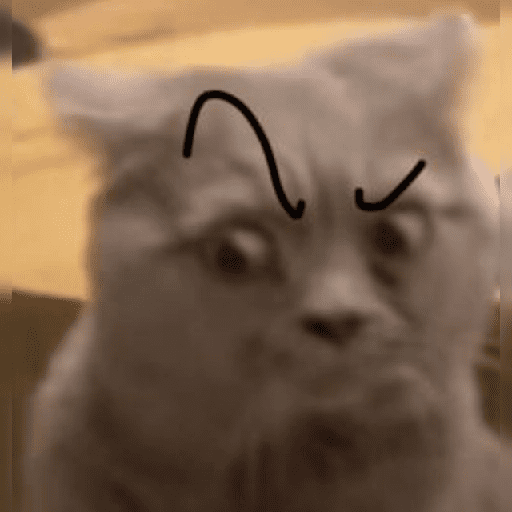 Gatos MOOD 😎🔥😹 preview