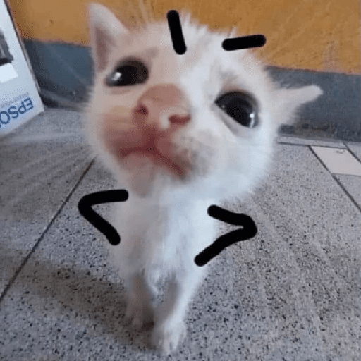 Gatos MOOD 😎🔥😹 preview