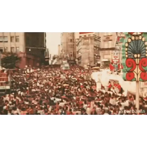 carnaval🥁