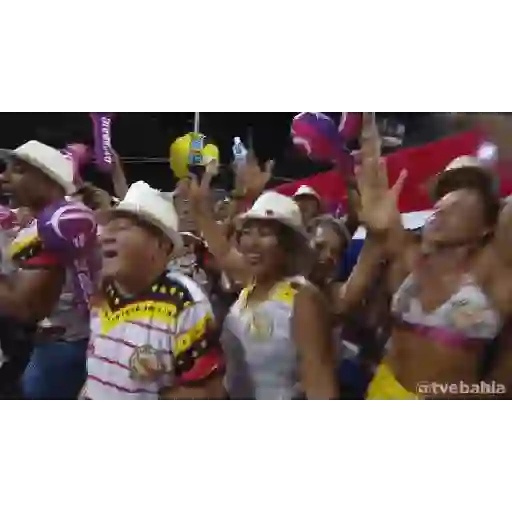 carnaval🥁 preview