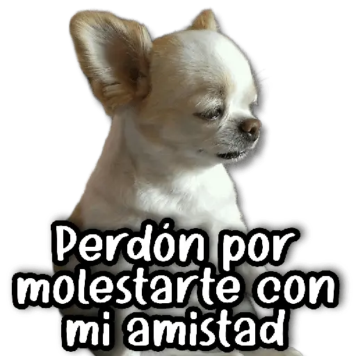 Stickers a Full #➌➊ 💆🏻‍♂️