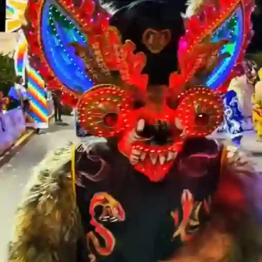 🎭 Carnaval 🎉 preview