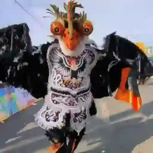 🎭 Carnaval 🎉