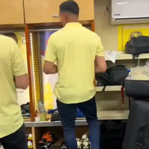 💛✨Club América 3🦅Tricampeón