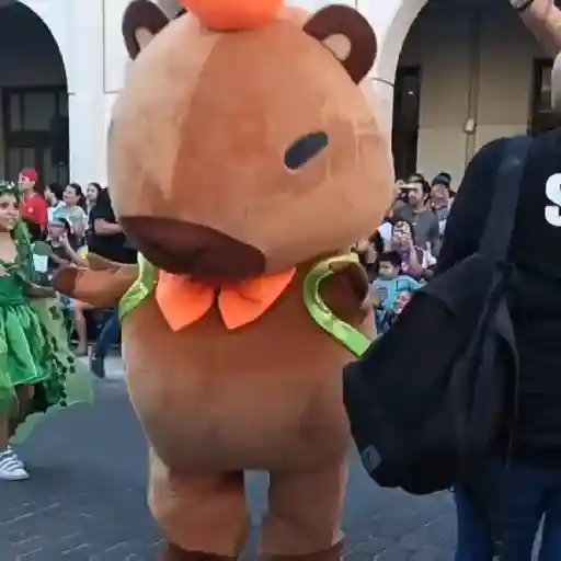 🎵 TIKTOKeando 34🎵