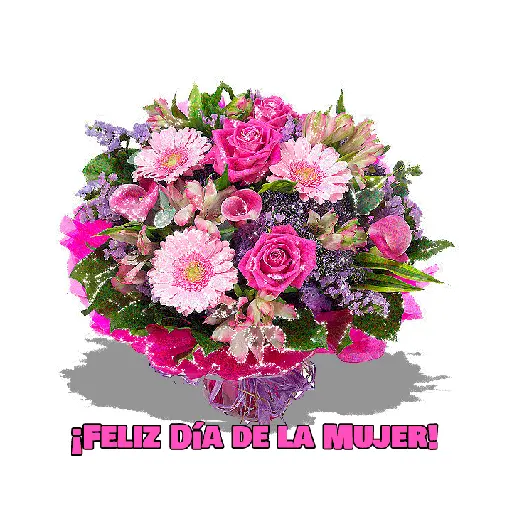 ♀️👠 Día de la Mujer 👠♀️