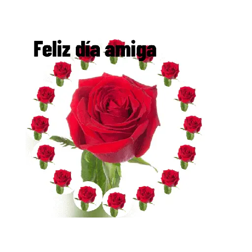 ♀️👠 Día de la Mujer 👠♀️