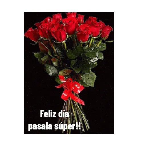 ♀️👠 Día de la Mujer 👠♀️