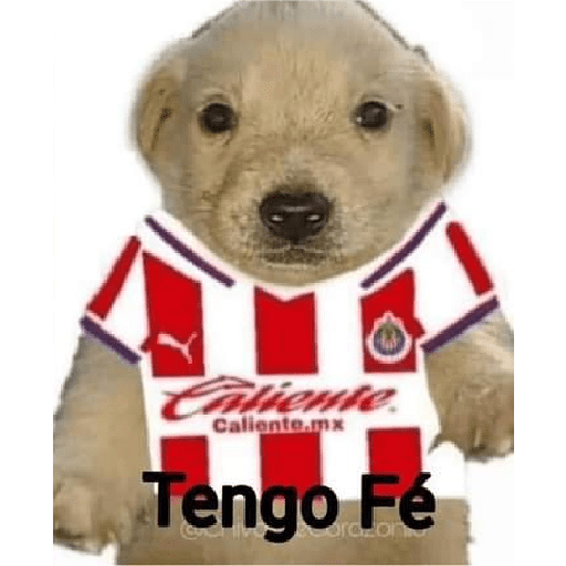 Pinches chivas preview