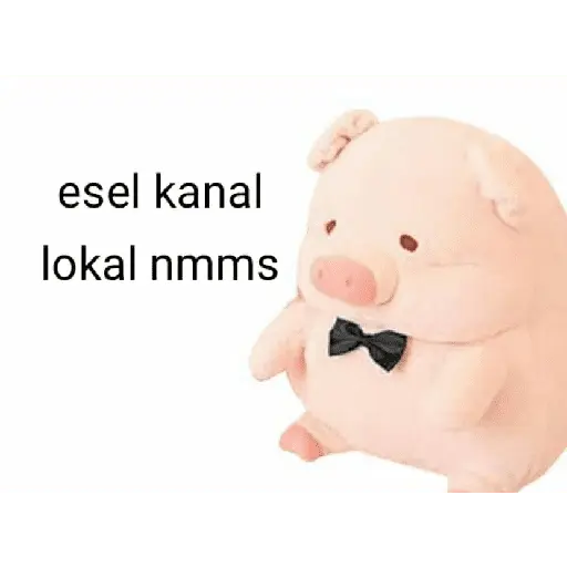 Perdonenmen a todos no acepto🐖