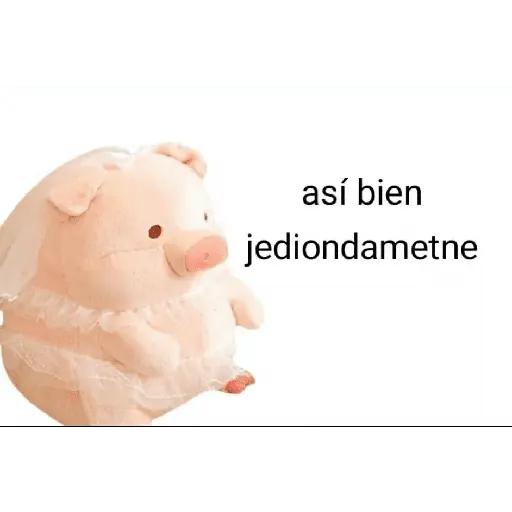 Perdonenmen a todos no acepto🐖