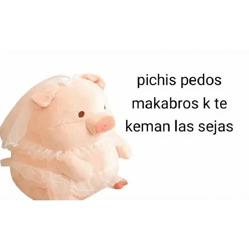 Perdonenmen a todos no acepto🐖