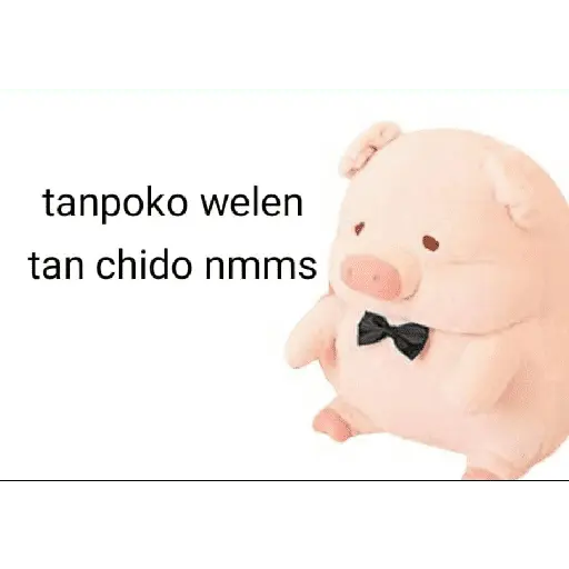 Perdonenmen a todos no acepto🐖